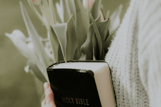 STŘEDEČNÍ BIBLICKÉ STUDIE